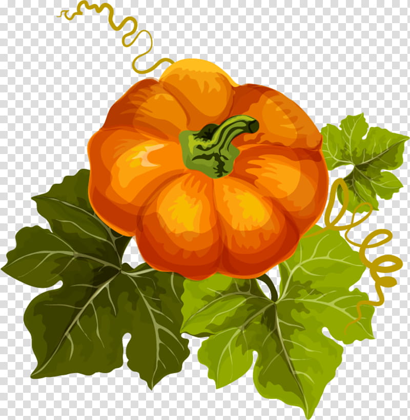Halloween Poster, Pumpkin, Autumn, Vegetable, Harvest, Squash, Orange, Season transparent background PNG clipart