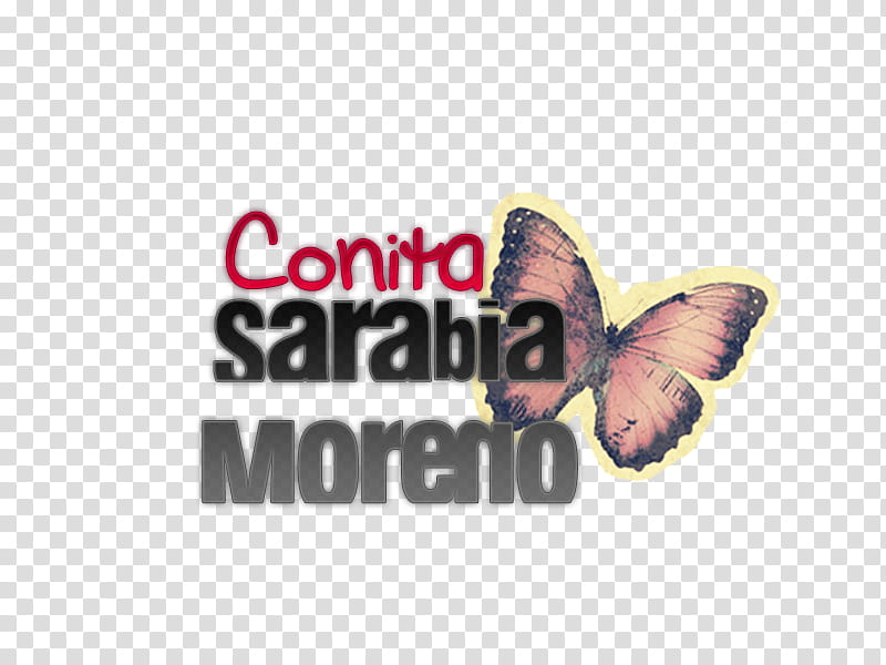 Texto Conita Sarabia Moreno Meela transparent background PNG clipart