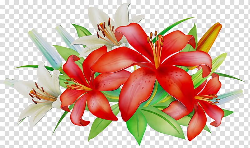 Lily Flower, Floral Design, Cut Flowers, Flower Bouquet, Petal, Lily M, Red, Plant transparent background PNG clipart