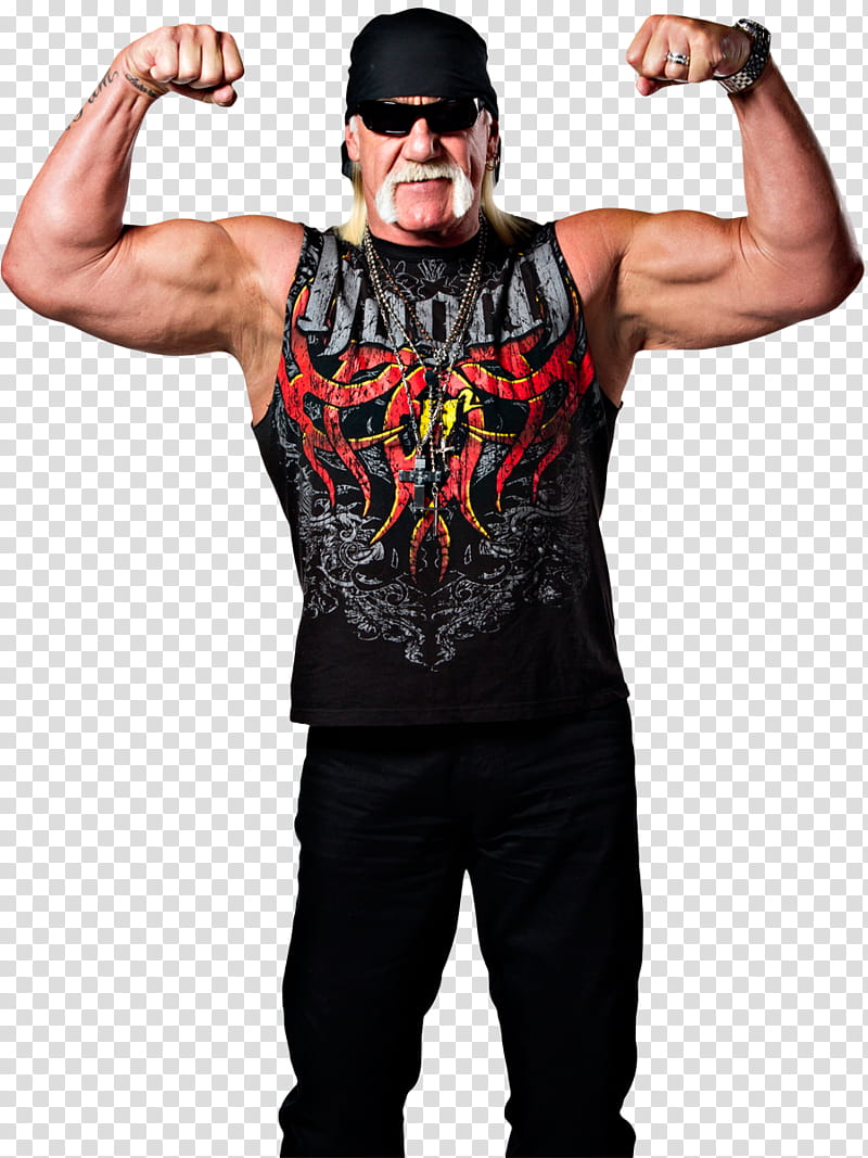 Hulk Hogan TNA transparent background PNG clipart