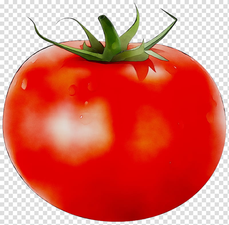 Vegetable, Plum Tomato, Bush Tomato, Food, Heirloom Tomato, Fruit, Vegetarian Cuisine, Annual Plant transparent background PNG clipart