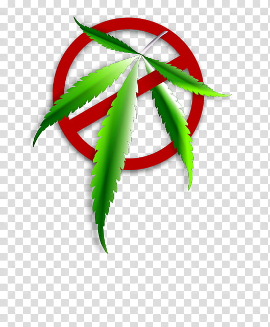 Cannabis Leaf, Cannabis Sativa, Cannabis Smoking, Cannabis Ruderalis, Medical Cannabis, Skunk, 420 Day, Hemp transparent background PNG clipart