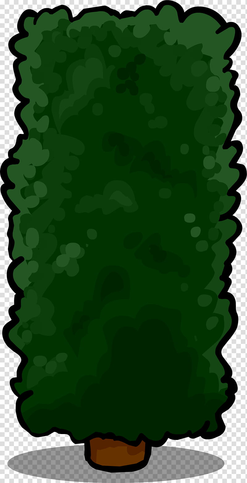 Green Leaf, Tree, Hedge, Shrub, Garden, Plants, Topiary, Buxus Sempervirens transparent background PNG clipart