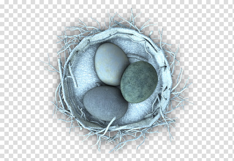 RPG Map Elements , three eggs in white nest transparent background PNG clipart