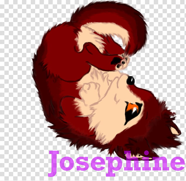 Fluffy Josephine transparent background PNG clipart