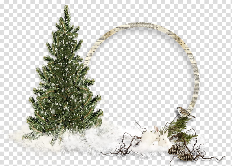 Christmas frame Christmas border Christmas decor, Christmas , Oregon Pine, White Pine, Colorado Spruce, Tree, Shortleaf Black Spruce, Lodgepole Pine transparent background PNG clipart