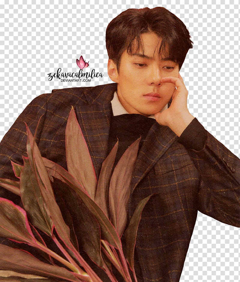 EXO Sehun Universe, man wearing black coat holding his cheek transparent background PNG clipart