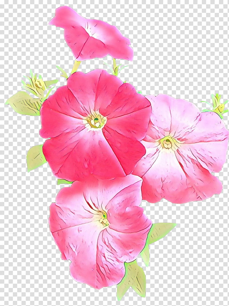 flower petal pink plant morning glory, Herbaceous Plant, Morning Glory Family, Impatiens transparent background PNG clipart