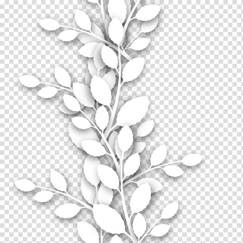 seamless, white plant transparent background PNG clipart