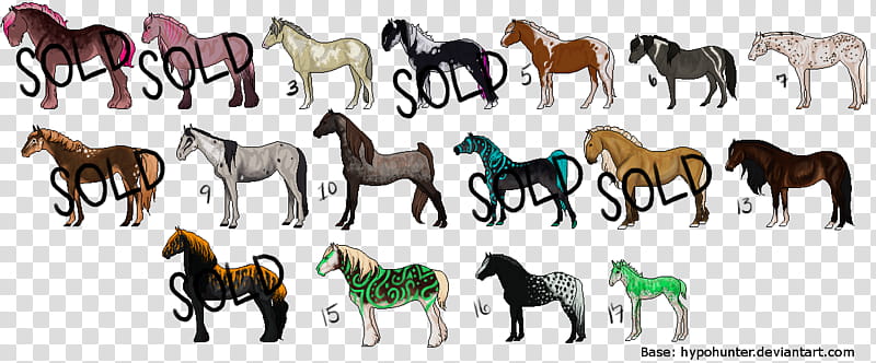 Horse, Mustang, Thoroughbred, Gray, Foal, Mare, Stallion, Danish Warmblood transparent background PNG clipart