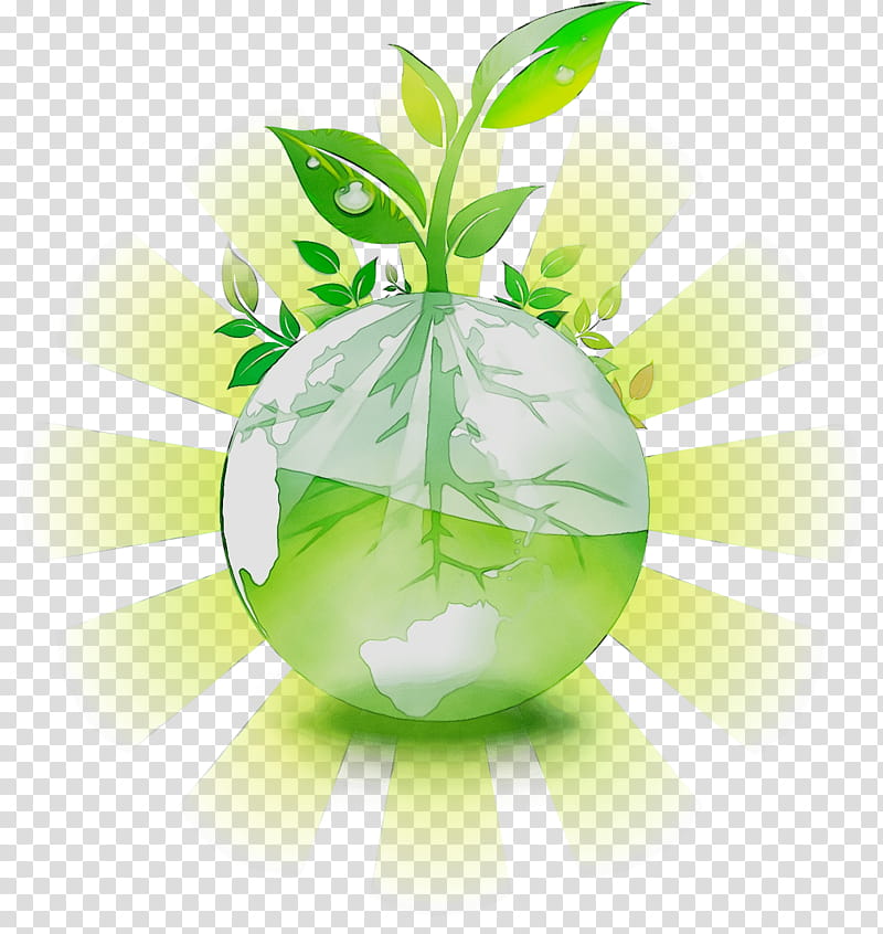Green Leaf, Peekyou, Computer, Medicine, Family, Sphere, Plant transparent background PNG clipart