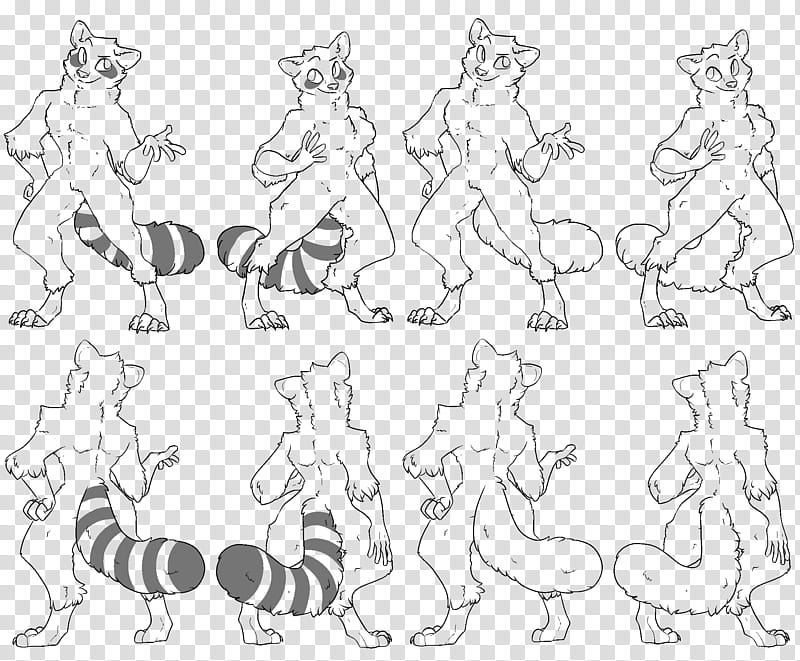 Anthro Raccoon Base transparent background PNG clipart