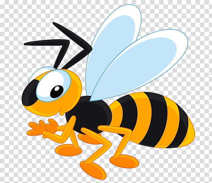 Bee, Hornet, Pterygota, Insect, Honeybee, Membranewinged Insect, Bumblebee, Cartoon transparent background PNG clipart