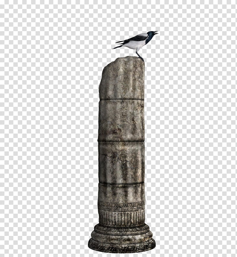 TWD Crows and ruins, white and black bird on gray concrete post transparent background PNG clipart