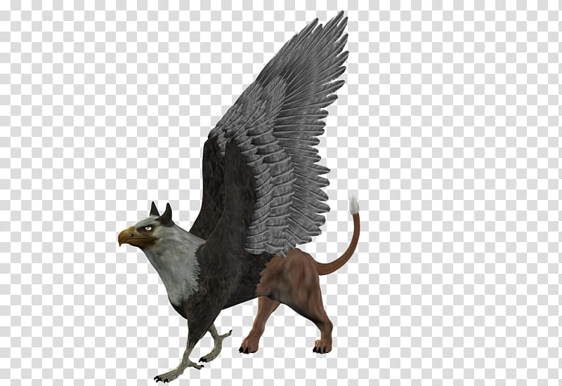 gryphon, standing gray winged feline illustration transparent background PNG clipart