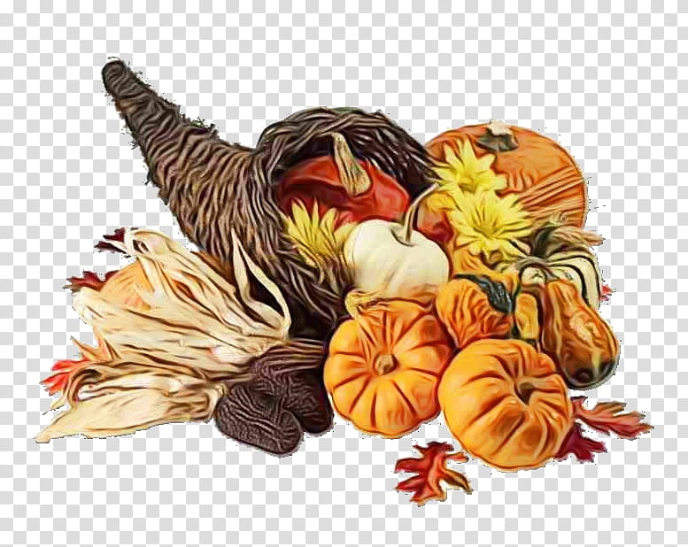 Thanksgiving Day Vegetable, Watercolor, Paint, Wet Ink, Gourd, Calabaza, Holiday, Christmas And Holiday Season transparent background PNG clipart
