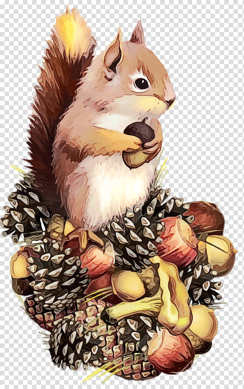 squirrel cartoon eurasian red squirrel chipmunk animation, Acorns, Watercolor, Paint, Wet Ink transparent background PNG clipart