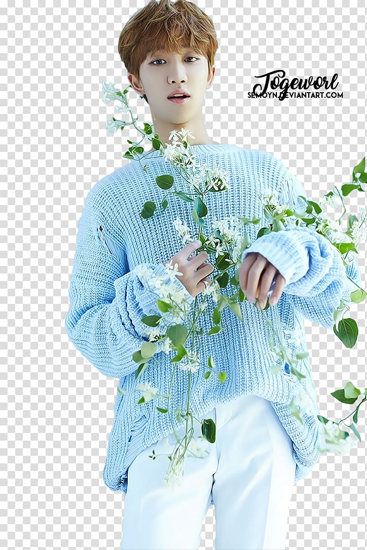 SEVENTEEN TEEN AGE WHITE TEASER, man in blue sweater surrounded transparent background PNG clipart