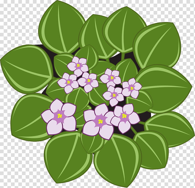 Lilac Flower, African Violets, African Violet Society Of America, Gloxinia, Common Blue Violet, Marsh Blue Violet, Sweet Violet, Flowerpot transparent background PNG clipart