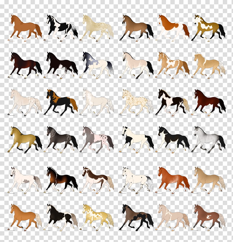 Animal, Deer, Mustang, Antelope, Animal Migration, Human Migration, Naturism, Horse transparent background PNG clipart