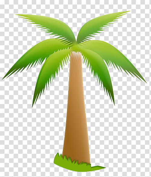 Summer , coconut tree transparent background PNG clipart