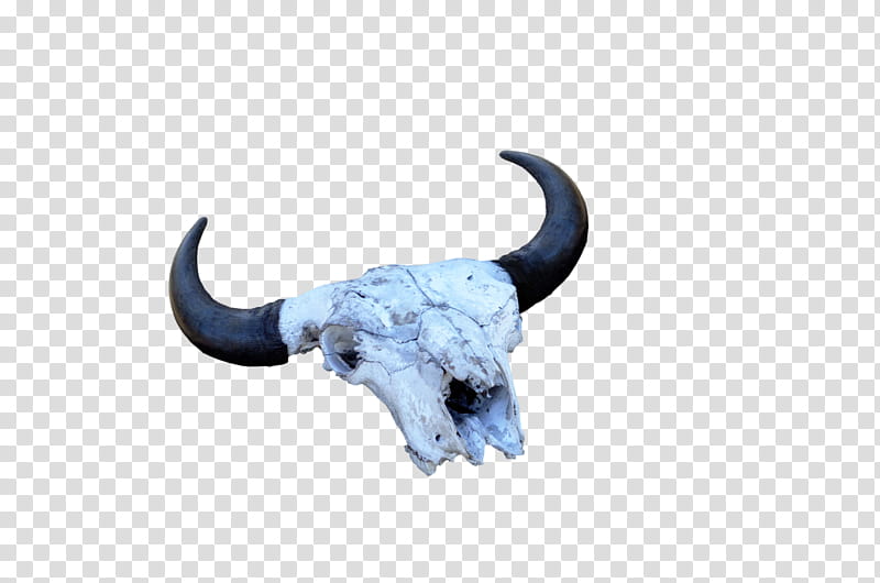Animal Skull  CLearCut, white and black animal skull with horns transparent background PNG clipart