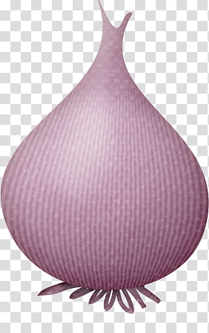 red onion illustration transparent background PNG clipart