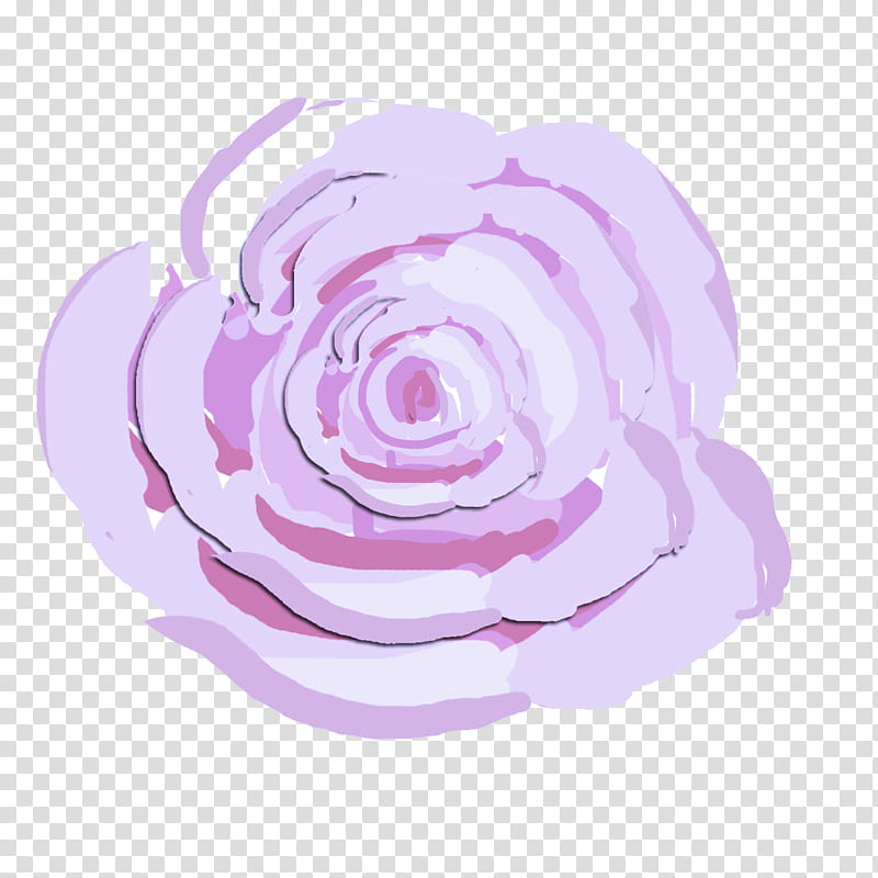 Garden roses, Pink, Purple, Violet, Hybrid Tea Rose, Flower, Petal, Rose Family transparent background PNG clipart