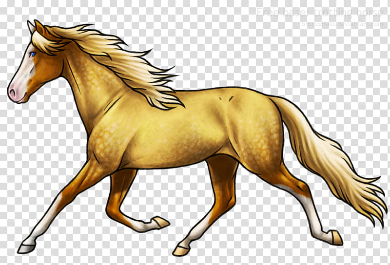 Free base: trotting, brown horse painting transparent background PNG clipart