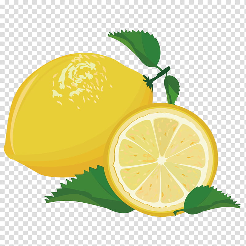 Cartoon Lemon, Lime, Orange, Mandarin Orange, Persian Lime, Fruit, Rangpur, Citrus transparent background PNG clipart
