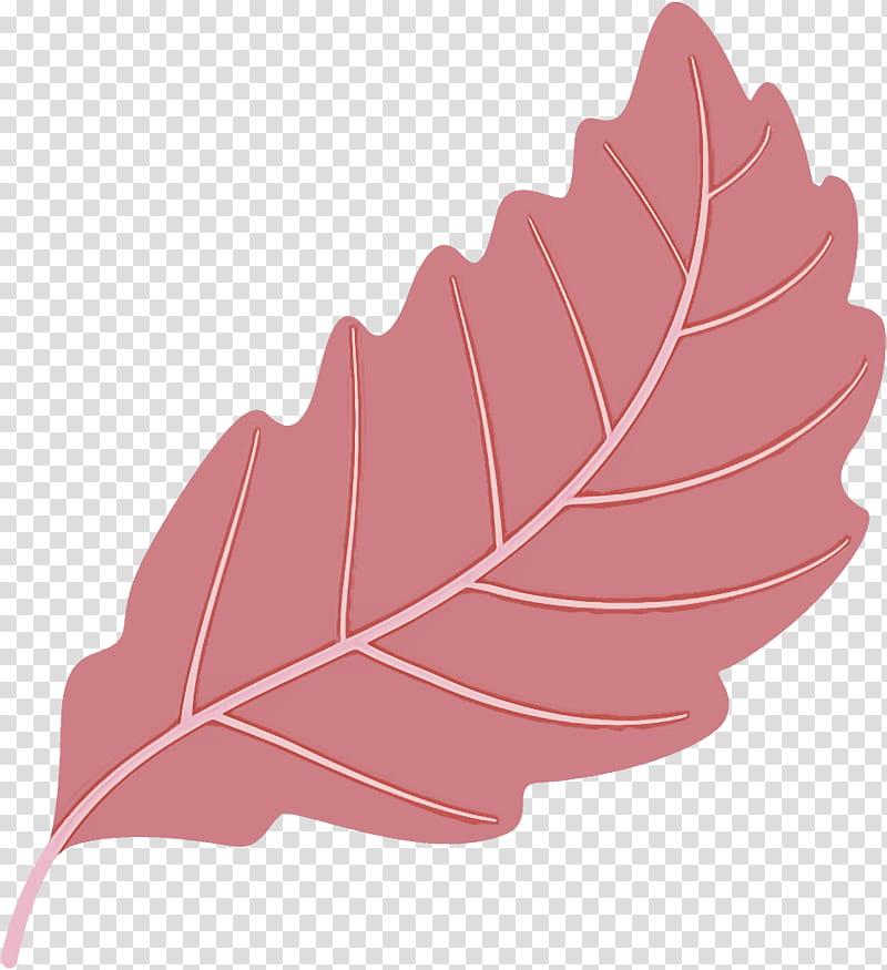 autumn leaf fallen leaf dead leaf, Pink, Plant, Tree, Flower, Deciduous, Leaf Vegetable transparent background PNG clipart