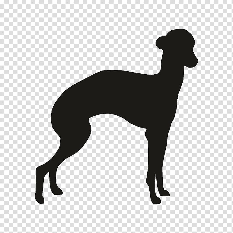 Dog Silhouette, Italian Greyhound, Whippet, Spanish Greyhound, Sloughi, Hortaya Borzaya, Borzoi, Sighthound transparent background PNG clipart