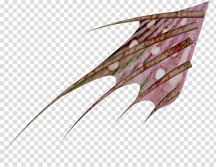 brownheadpeices, pink and brown wing illustration transparent background PNG clipart