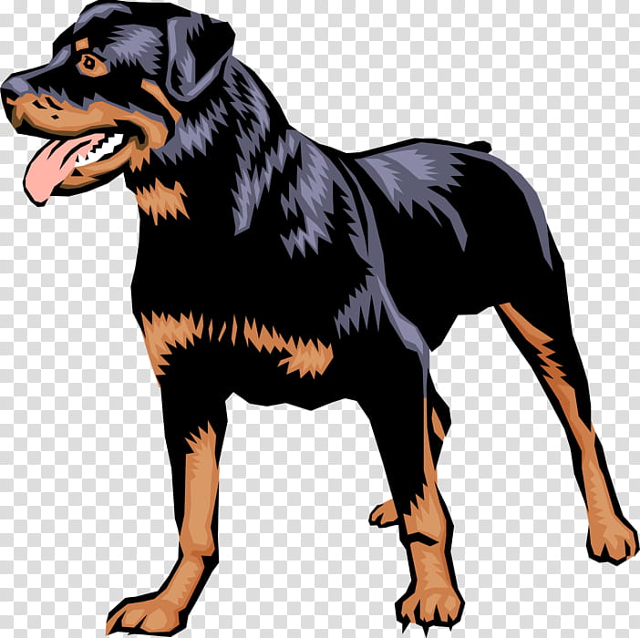 Dog, Rottweiler, Dobermann, Puppy, German Pinscher, Dachshund, Pet, Guard Dog transparent background PNG clipart