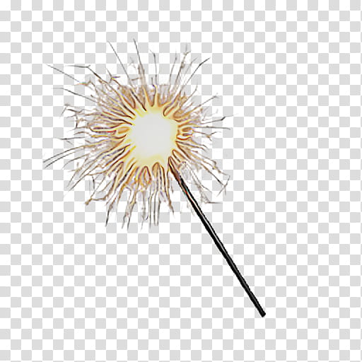 dandelion dandelion sparkler plant beige transparent background PNG clipart