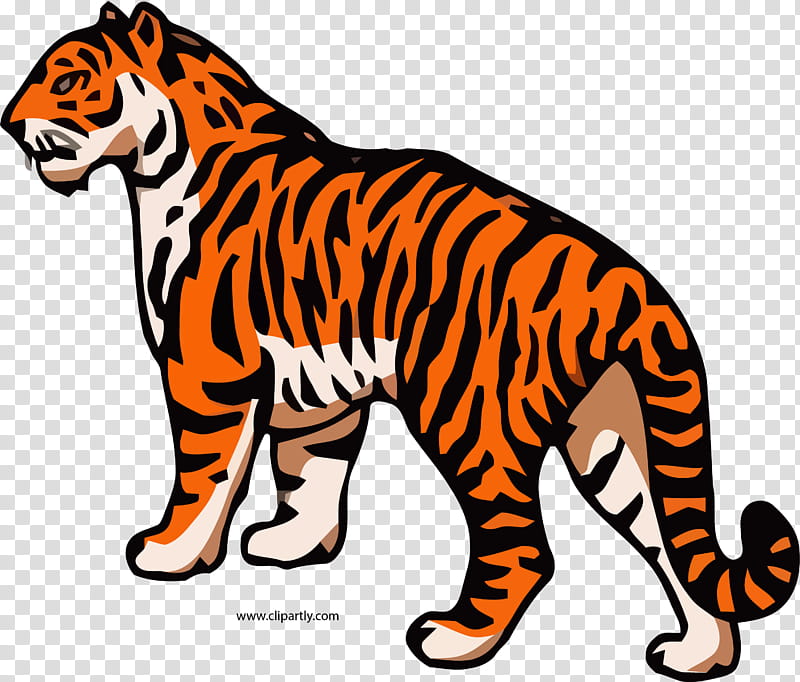 Cats, Bengal Tiger, Animal, Wildlife, Tail, Puma, Animal Figure, Ocelot transparent background PNG clipart