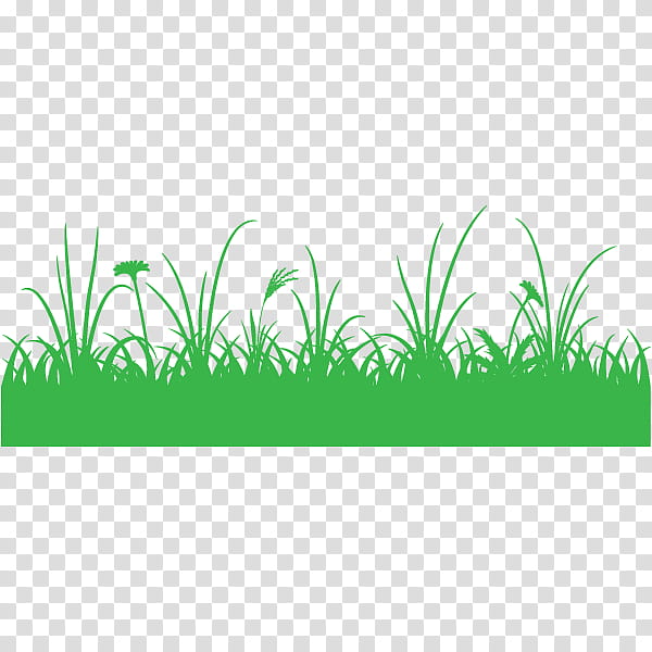 Green Grass, Shf31, Paper, Text, Sharp Aquos, Facial Tissues, Toilet Paper, Landscape Architecture transparent background PNG clipart