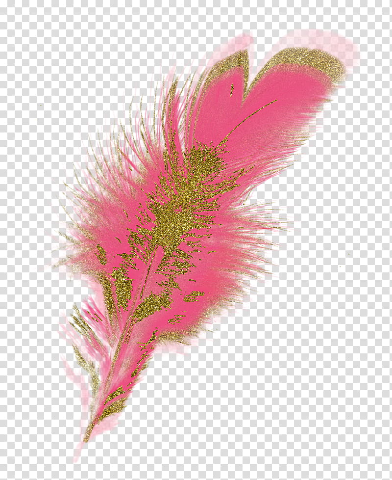 Pink Flower, Feather, Peafowl, Single Peacock Feathers, Drawing, Bird, Quill, Plant transparent background PNG clipart