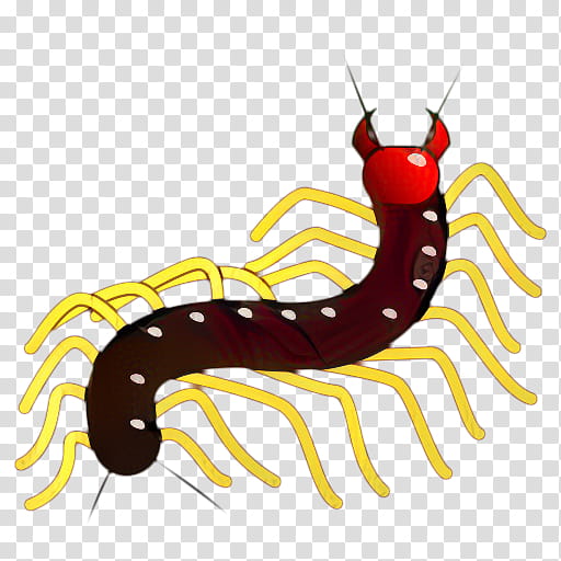 Caterpillar, Insect, Worm, Pest, Centipede, Millipedes, Larva, Ringedworm transparent background PNG clipart