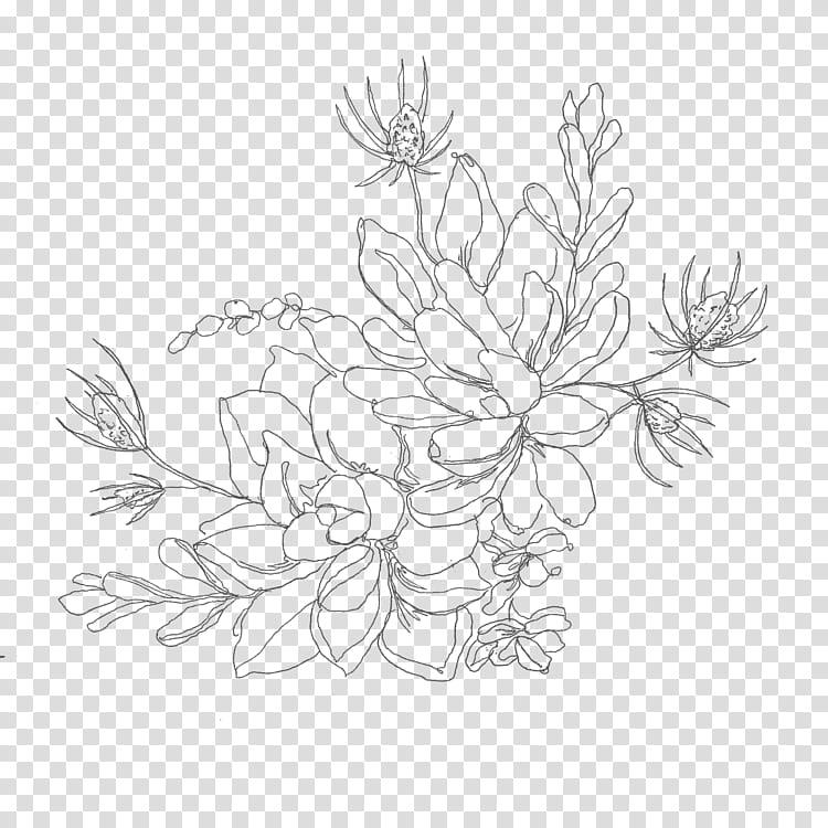 Flower Line Art, Drawing, Succulent Plant, Cactus, Visual Arts, Tattoo, Ink, White transparent background PNG clipart
