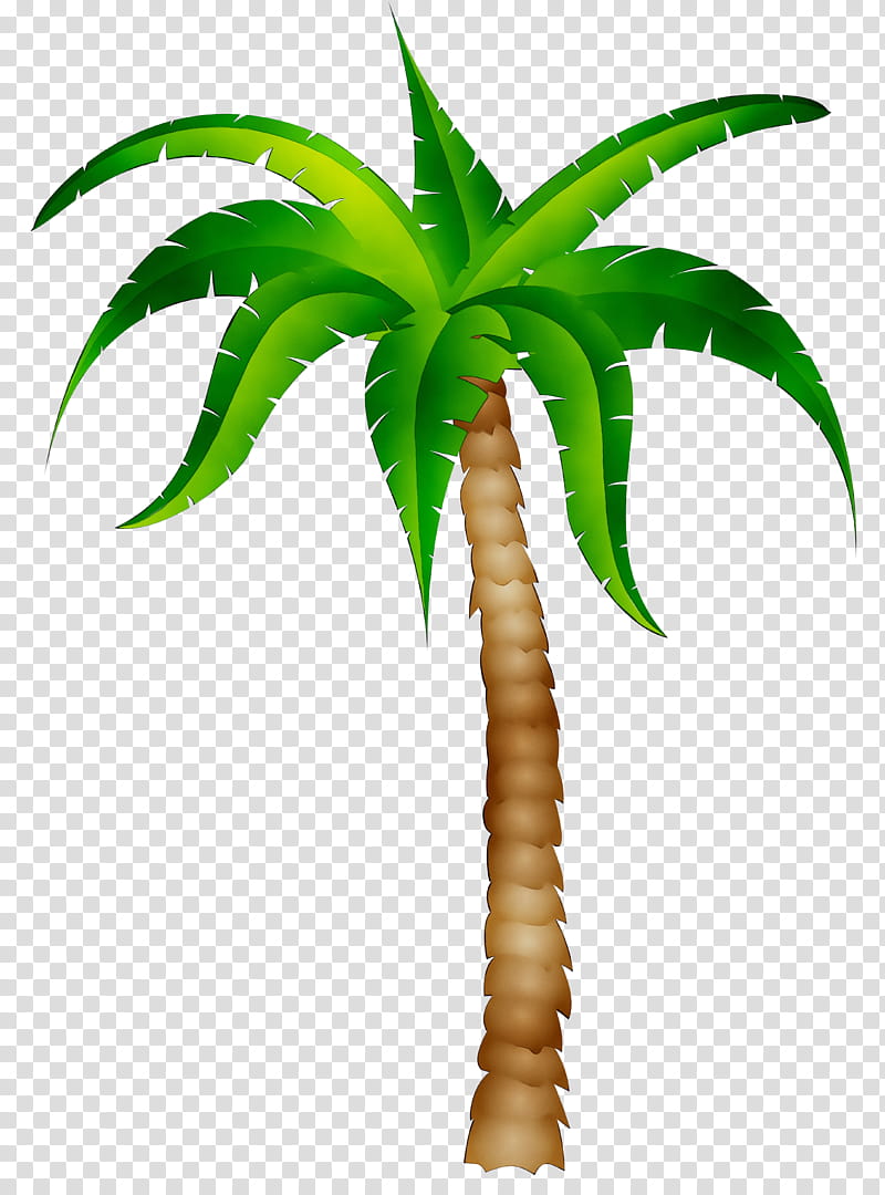 Cartoon Palm Tree, Miami, Betho Ieesus, Sports, Vlog, Plant, Leaf, Terrestrial Plant transparent background PNG clipart