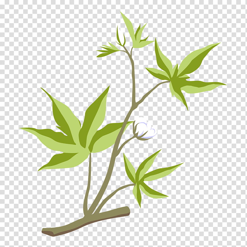 Family Tree, Cotton, Flower, Fiber, Plants, Painting, Leaf, Flora transparent background PNG clipart