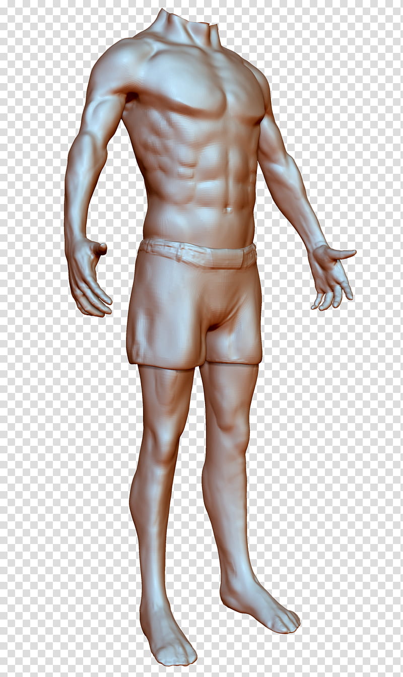 Zbrush Anatomy Study  transparent background PNG clipart