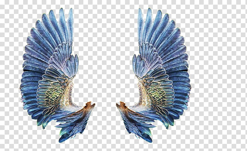 wing set, blue-and-white wings illustration transparent background PNG clipart