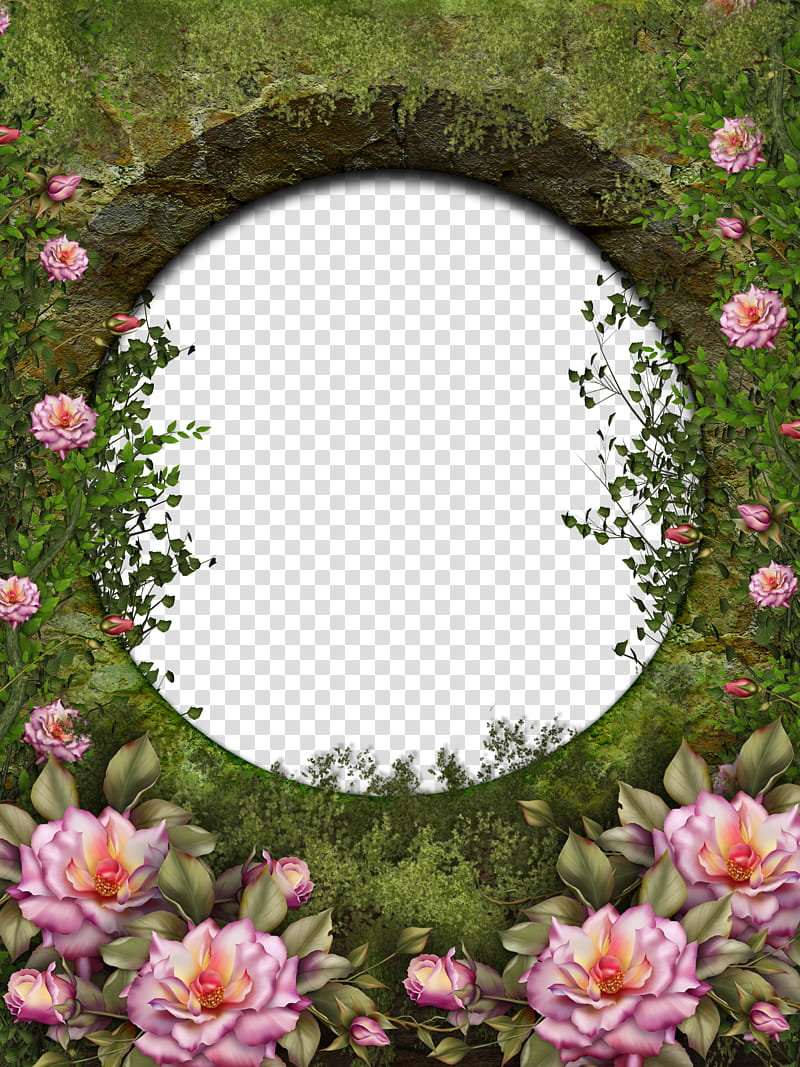 Hole Entrance, pink-petaled flower transparent background PNG clipart
