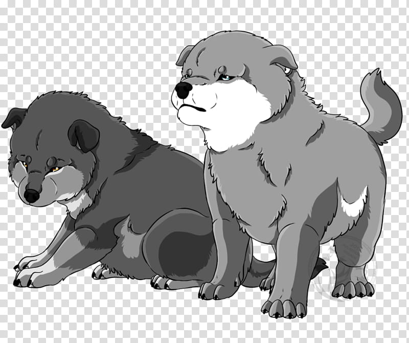 Cat And Dog, Puppy, Lion, Bear, Pack, Animal, Procyonidae, Snout transparent background PNG clipart