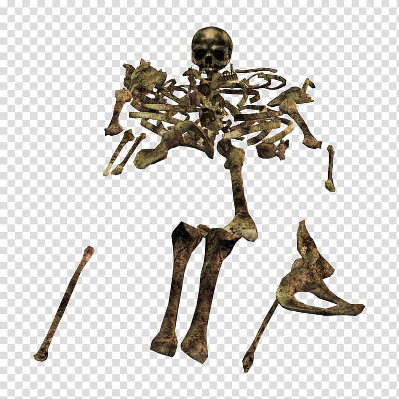 Bonez, human skeleton transparent background PNG clipart