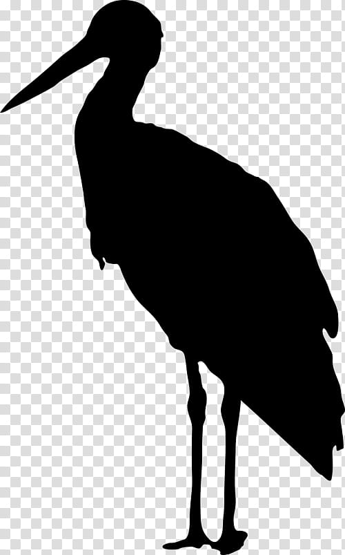 Crane Bird, Stork, Silhouette, Heron, Black Stork, Beak, Cartoon, Cranelike Bird transparent background PNG clipart