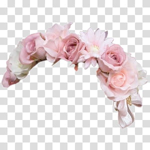 Flower Crowns, pink rose headdress transparent background PNG clipart