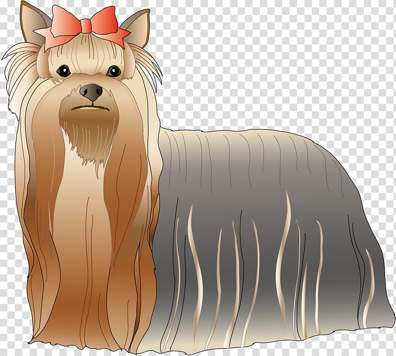 Cartoon Dog, Yorkshire Terrier, Cairn Terrier, Toy Dog, Breed, Whiskers, Razas Nativas Vulnerables, Snout transparent background PNG clipart